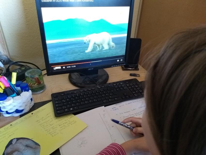 Homeschooling – Kind am Schreibtisch, am dem Laptop Bildschirm läuft ein Film über Eisbären.